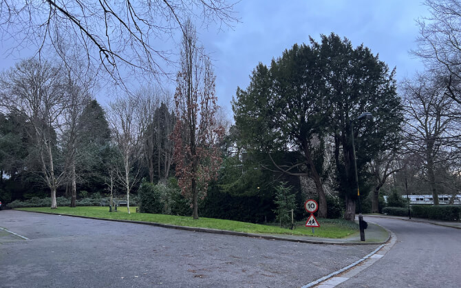 Peckarmans Wood - Dulwich 1