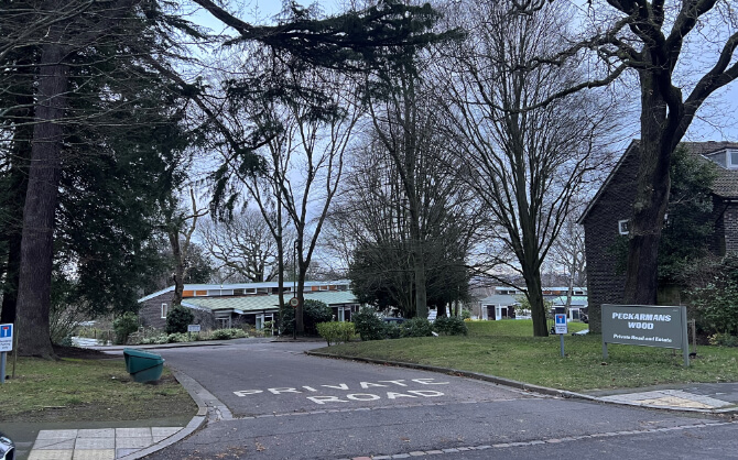 Peckarmans Wood - Dulwich 2